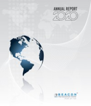 Annual Report 2020