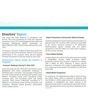 Directors Report 2025