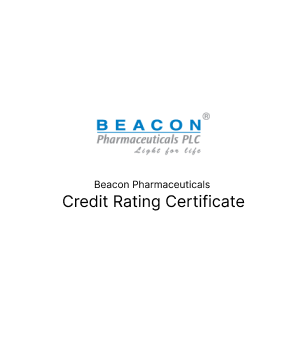 Credit Rating Report - 2024